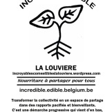 L'affiche des Incroyables Comestibles La Louvière à imprimer et à placer à votre fenêtre avec vos incroyables comestibles à partager :)